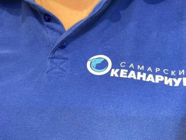 Футболки с логотипом